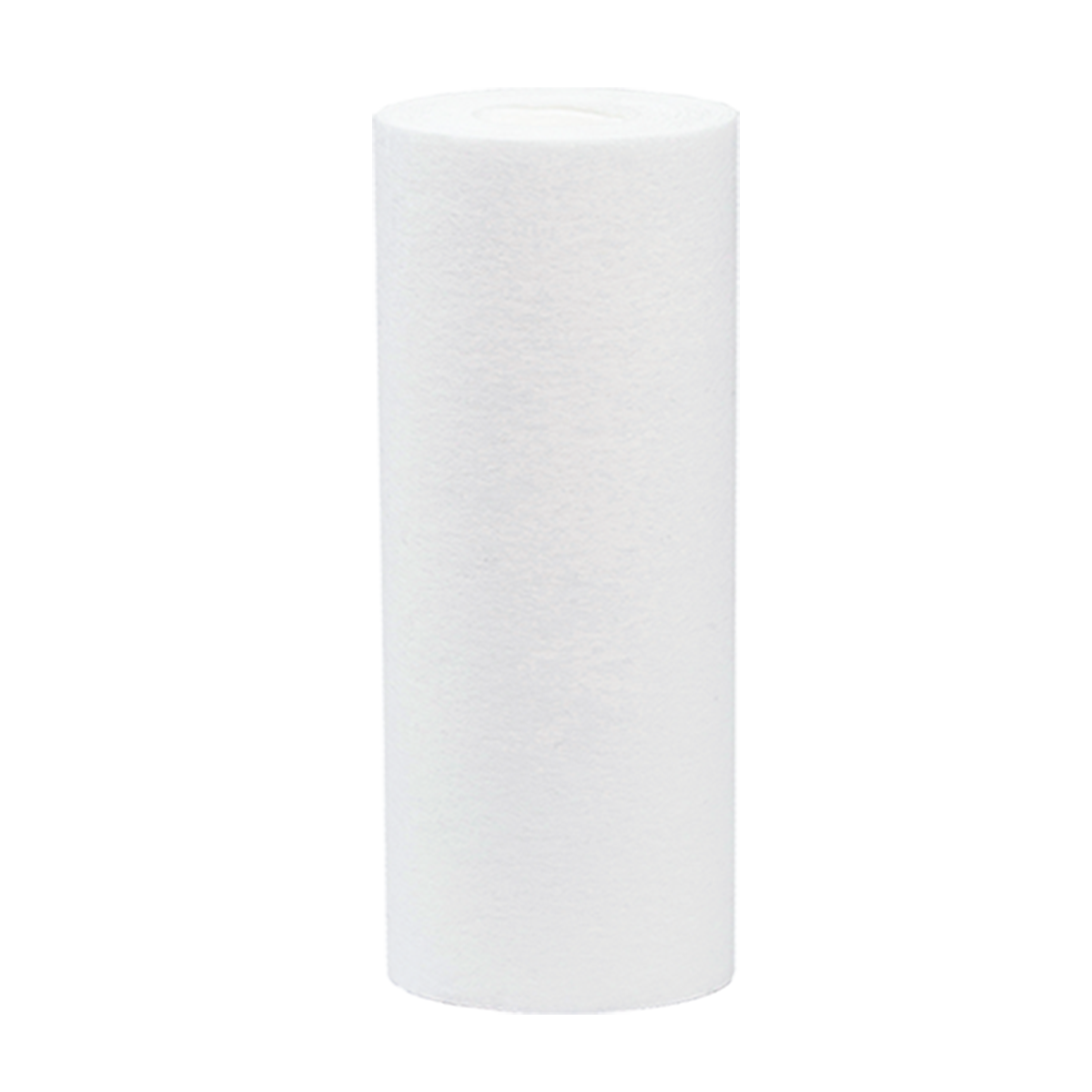 Partikelfilter 10"