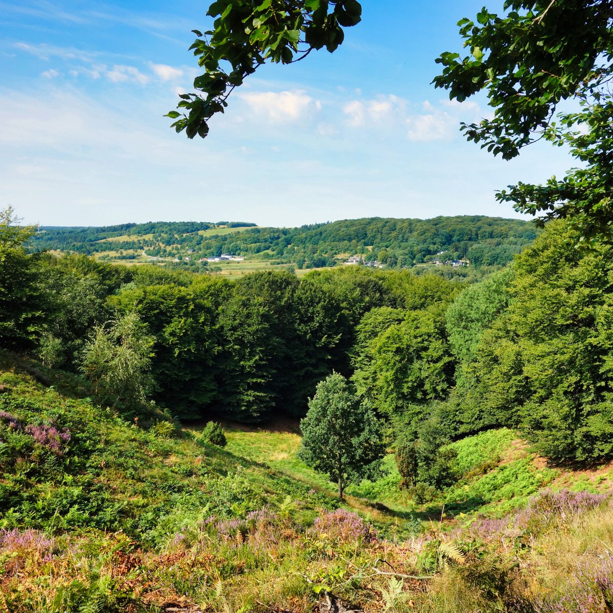 Effektiv spildevandsrensning hos Sinatur Hotel Skarrildhus